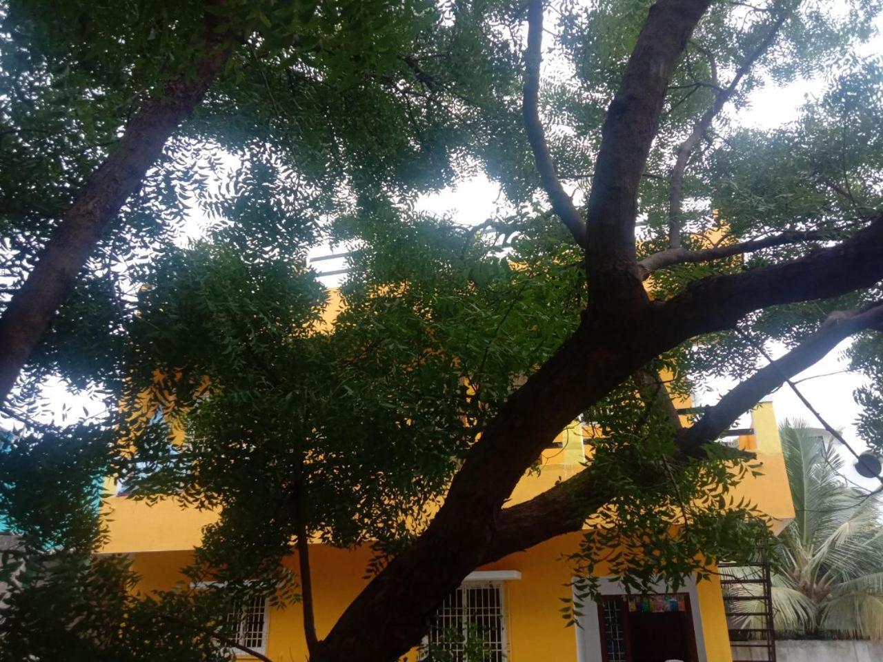 Thendral Hostel Monthly Rental Puducherry Eksteriør billede